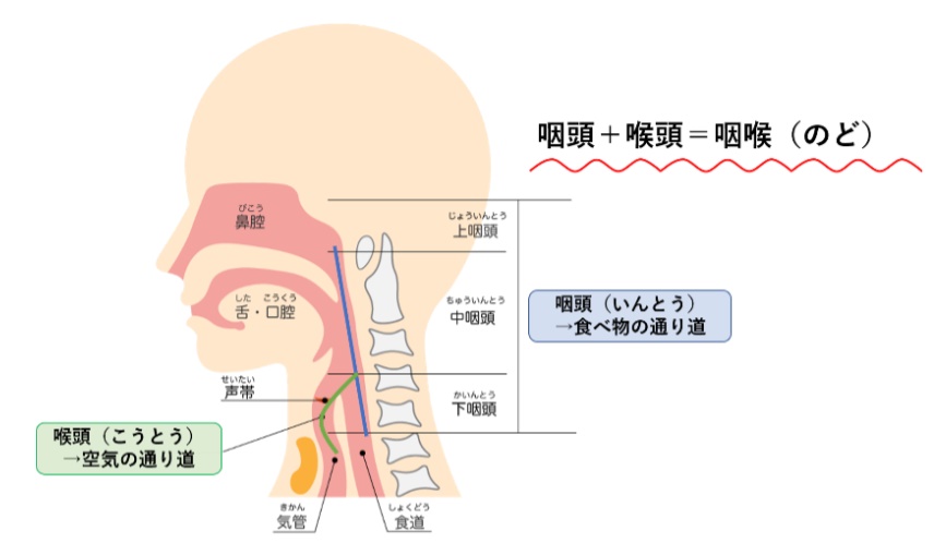 対喉頭良性腫瘍の症状