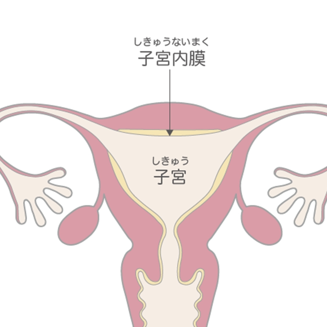 有田焼 モダン